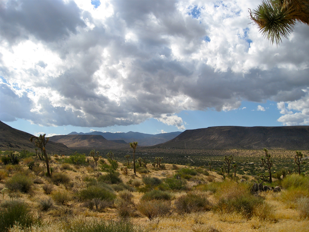 High Desert Eden - Eco-friendly private retreats